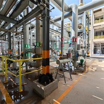 Klor alkali bitki süreci